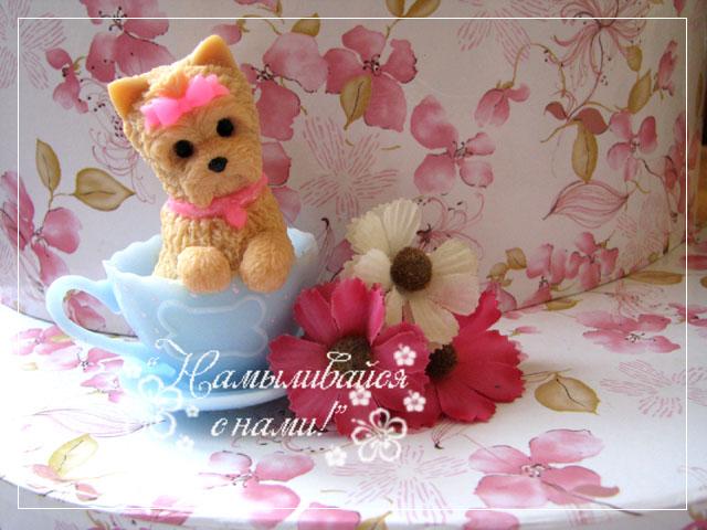 Из последнего