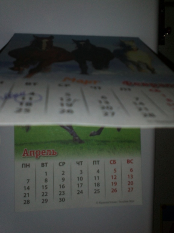 Взлет 72 день 14