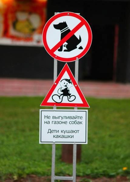веселые картинки )))