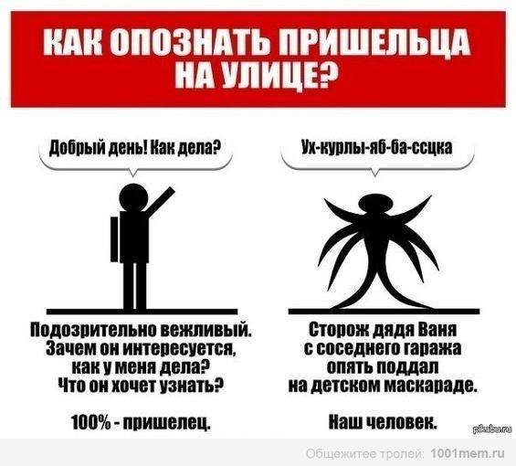 веселые картинки )))