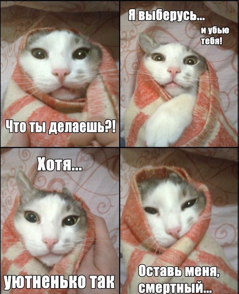 )))))