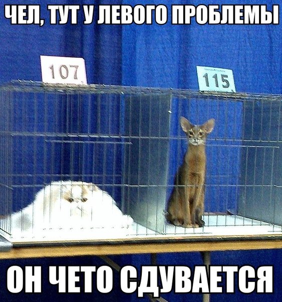)))))