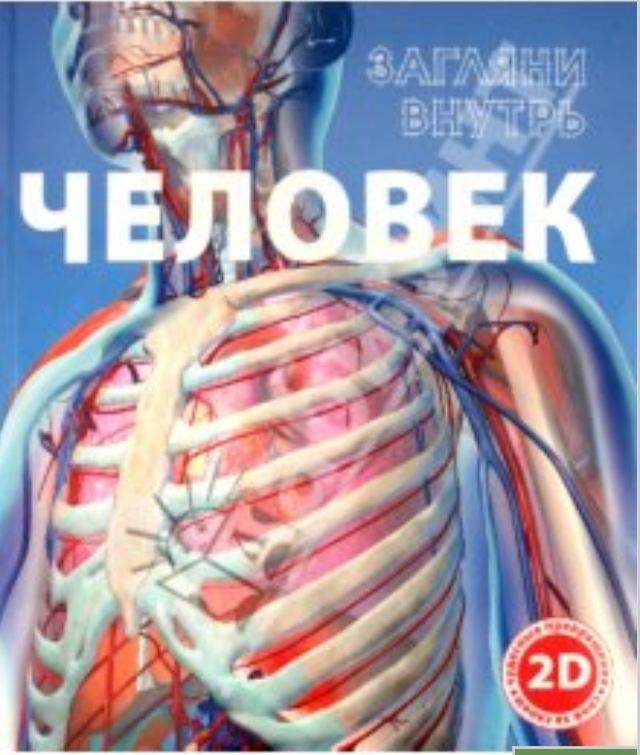 Внутрь человека. Книга анатомия человека для детей. Книга человек Загляни внутрь. Энциклопедия строение человека. Книга что внутри человека.