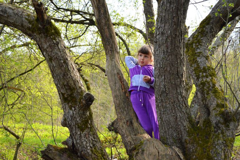 Хорошо у бабушки отдыхать.