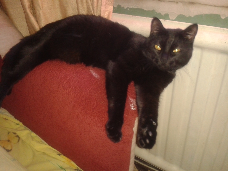 любовь у них