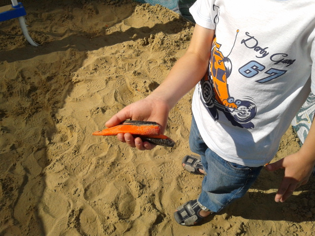 Парк Кузьминки: настоящее и прошлое в одном флаконе