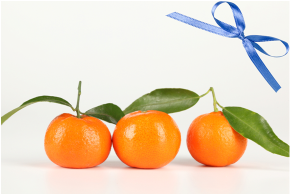 Новогодняя викторина от MY-SHOP.RU