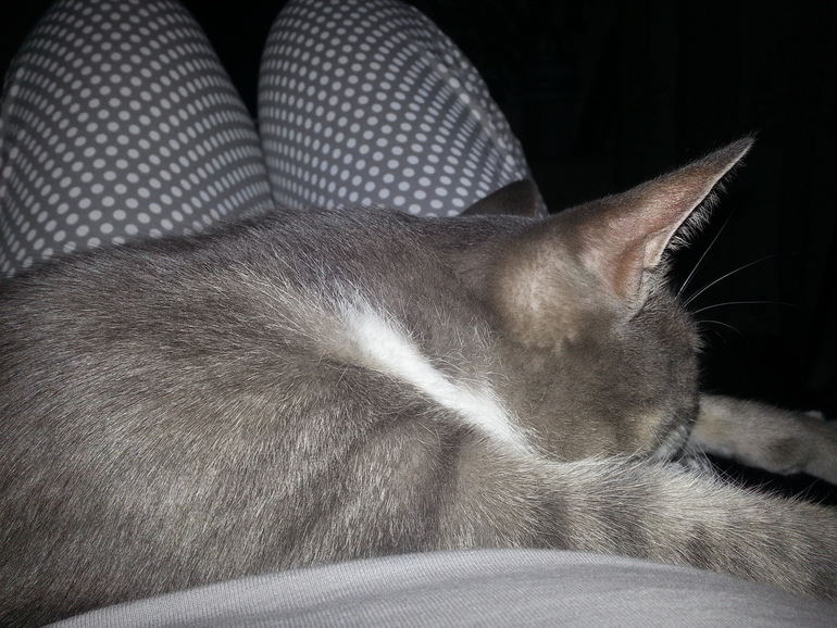 так мы спим )