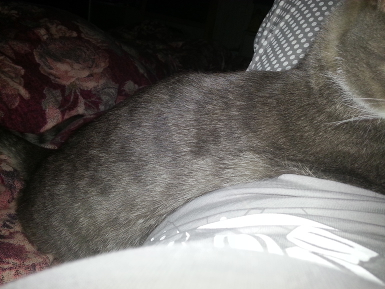 так мы спим )