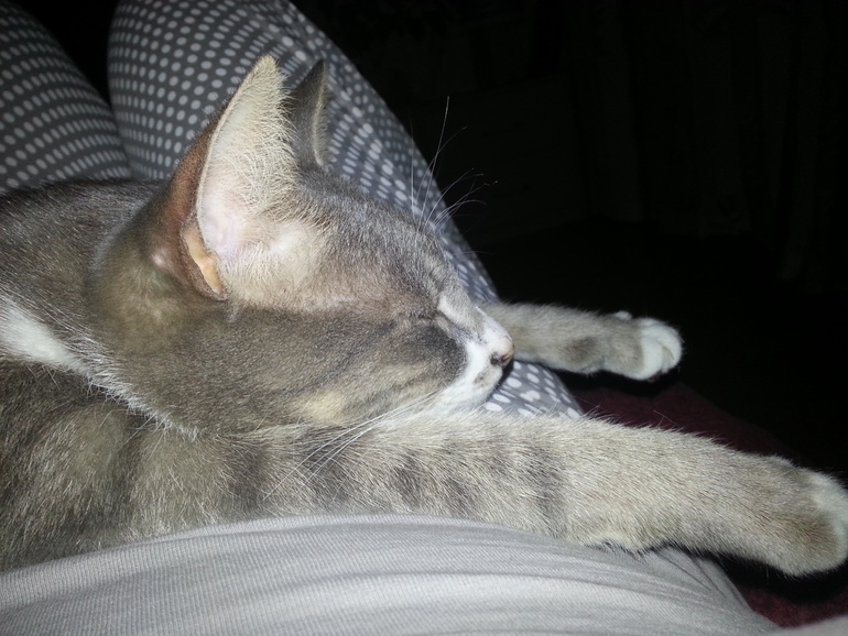 так мы спим )