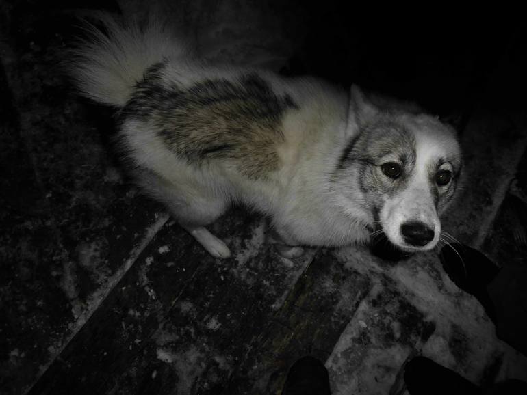 Камчатка - любовь моя. Осторожно, куча фото)