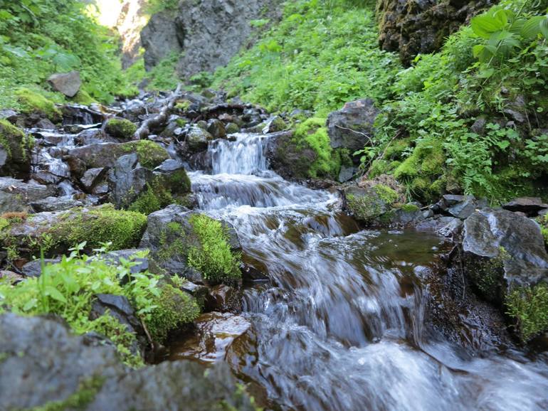 Камчатка - любовь моя. Осторожно, куча фото)