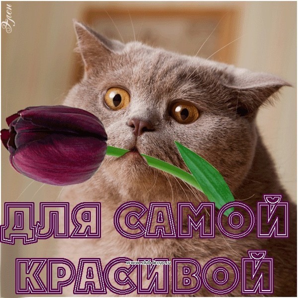 df05ecf8cdc3ddf121097188391f7d8c.jpg