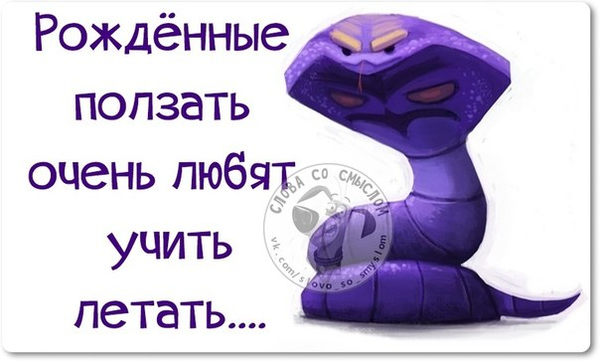767f58d7d82969a0fe1ded7abc90fe58.jpg