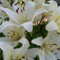 4cb8be5be66ca4d53a2fe15bd6739b3b.jpg