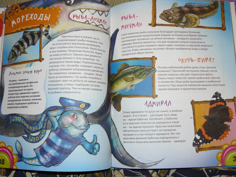 Профессии животных