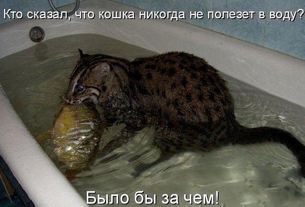 Позитивчик:)