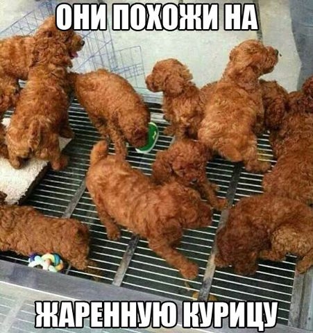 Позитивчик:)