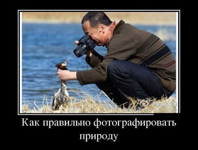 Позитивчик:)