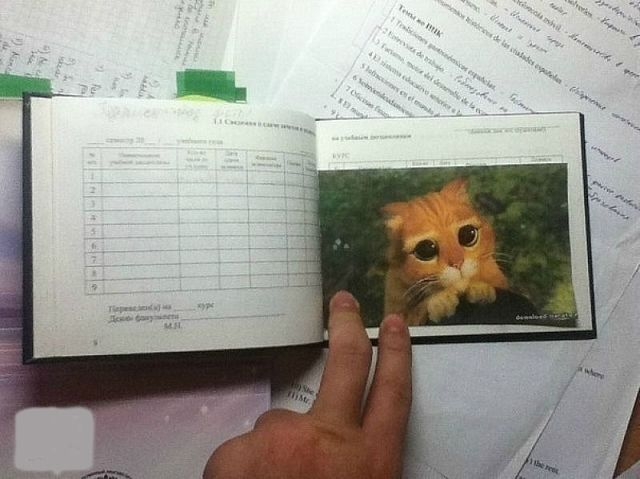 Масленица:)