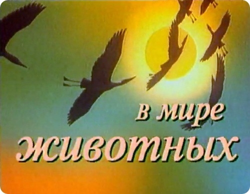 Ностальгирую:)