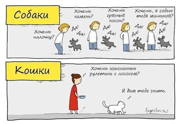 От улыбки, станет всем светлей...:)