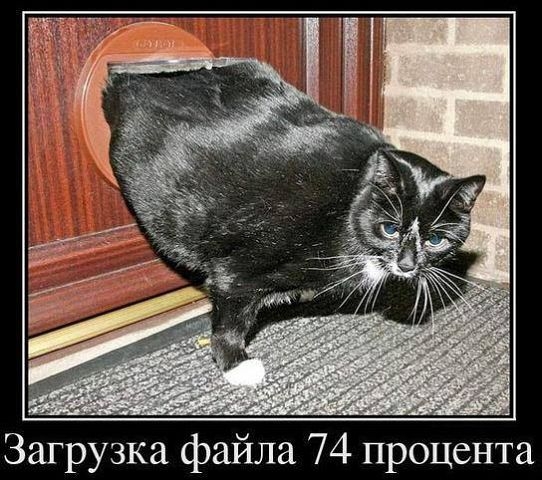 Масленица:)