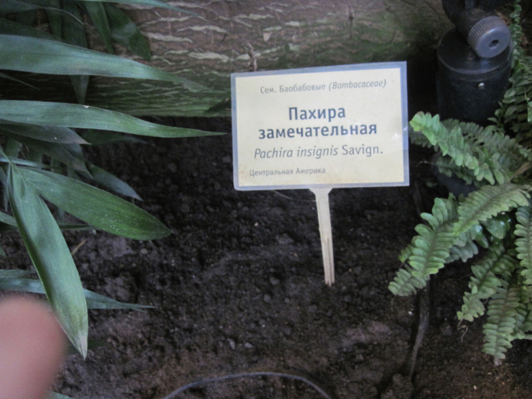 Все в сад :)
