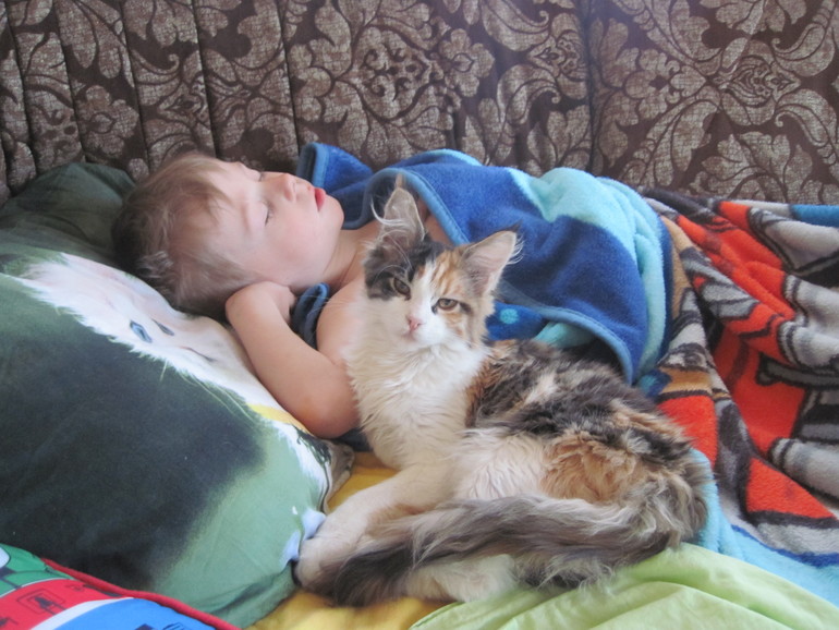 Выходные кошачьего ребёнка
