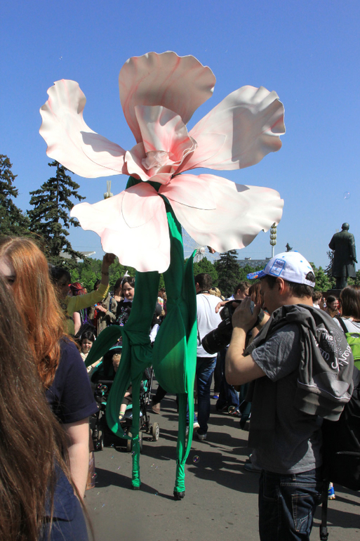 Парад мыльных пузырей - Dreamflash 2014