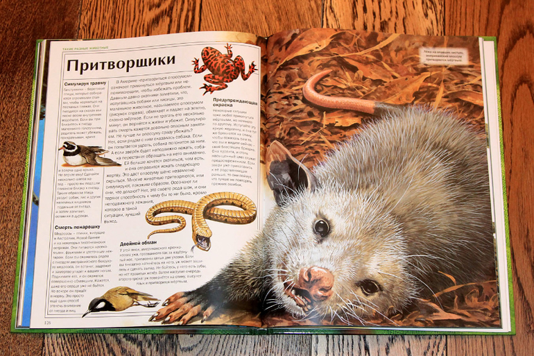 Атлас животных.