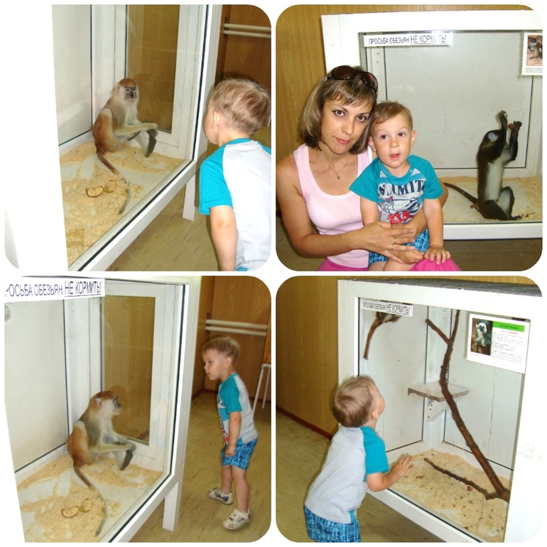 0ad464389dfe7ae0cb5efbb223c27d2e.jpg