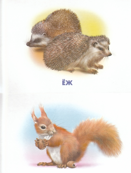 ТН "В осенним лесу"