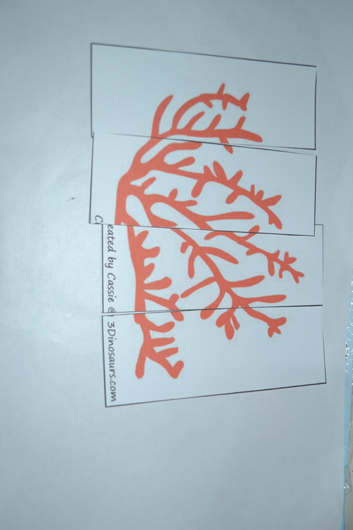 Тематическая неделя Море. День 1.
