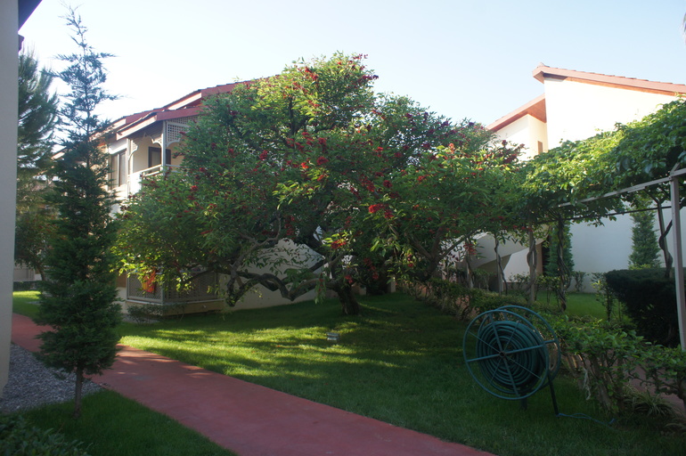 Club Hotel Turan Prince World 5* в мае