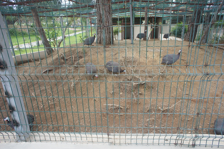 Club Hotel Turan Prince World 5* в мае