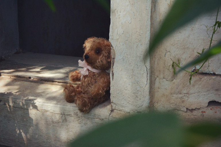 Мишку бросила хозяйка :)