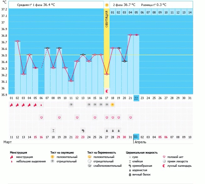 Помогите разобраться когда была овуляция?