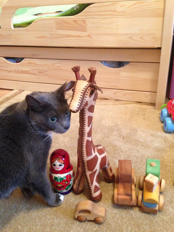 Наш семейный поход на ФР