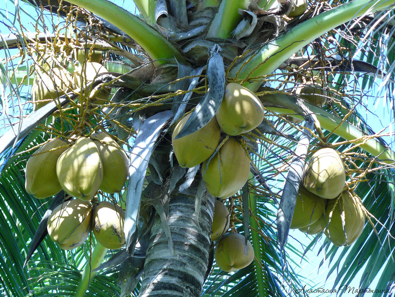 Контрольное задание № 37. Легкий эффект акварели