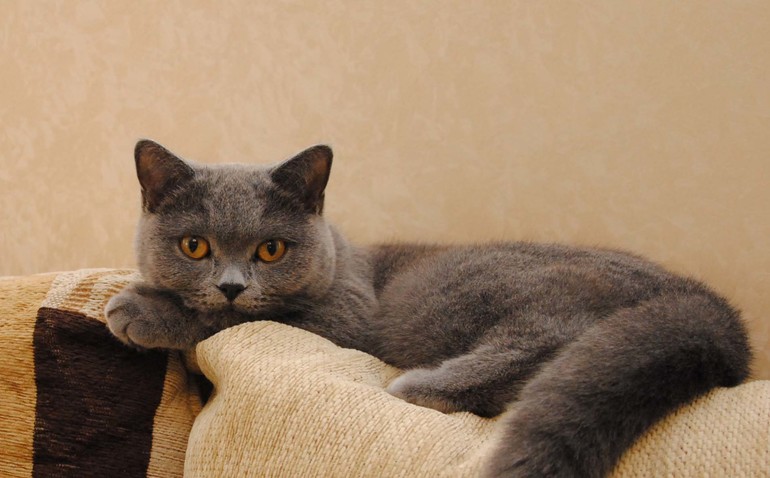 Контрольное задание № 9. Использование масок слоев