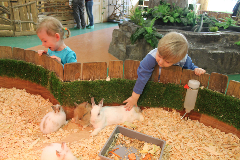 Контактный зоопарк