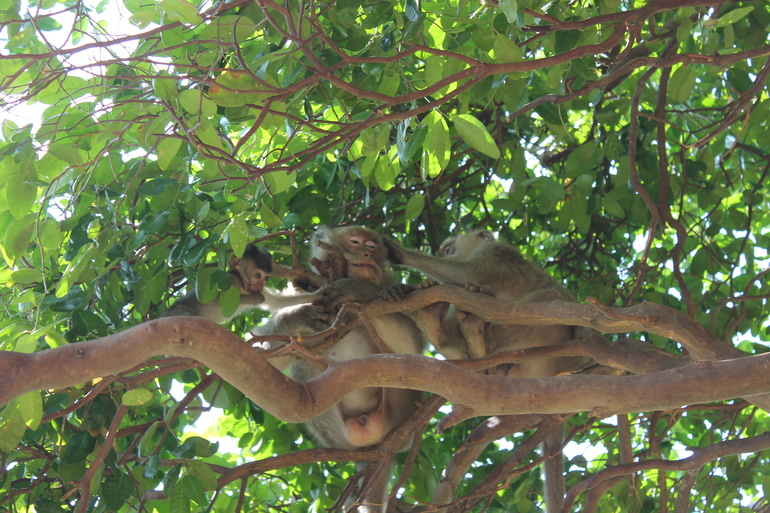 Возвращение в Тайланд)))