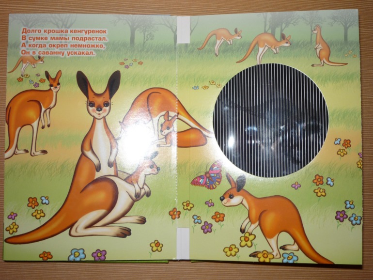 Такая книжка