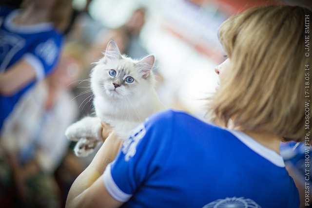 Мой мужчинка.