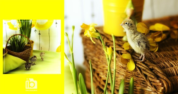 Солнце в квартире