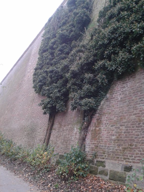 Наши каникула в Праге