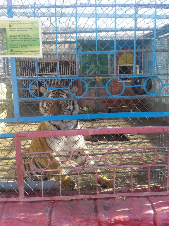 Наши выходные. Немного фото