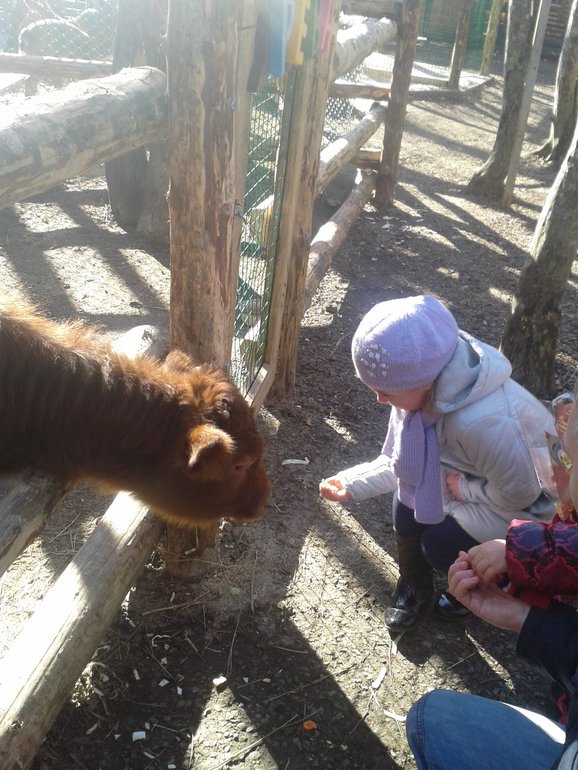 Наши выходные. Немного фото