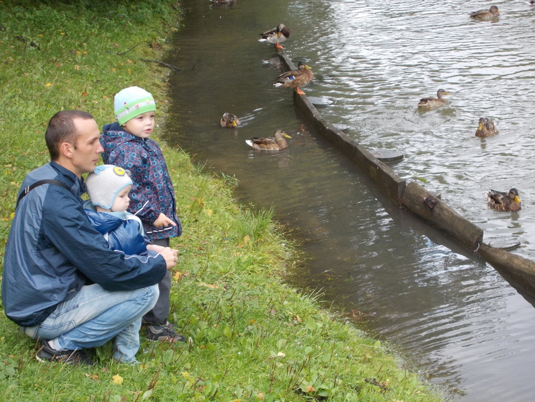 Наши пожелания для феечки- снегурочки)